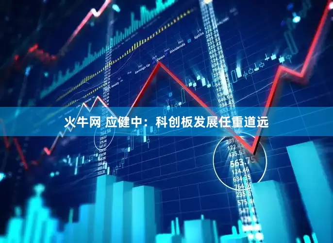 火牛网 应健中：科创板发展任重道远
