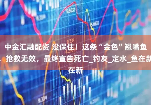 中金汇融配资 没保住！这条“金色”翘嘴鱼，抢救无效，最终宣告死亡_钓友_定水_鱼在新