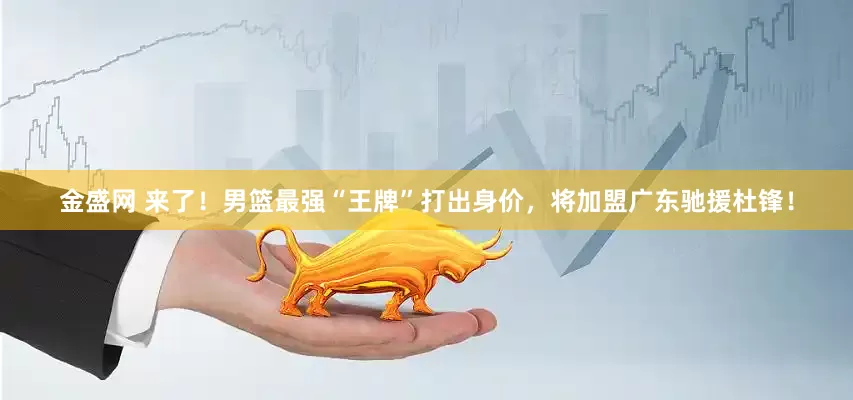 金盛网 来了！男篮最强“王牌”打出身价，将加盟广东驰援杜锋！