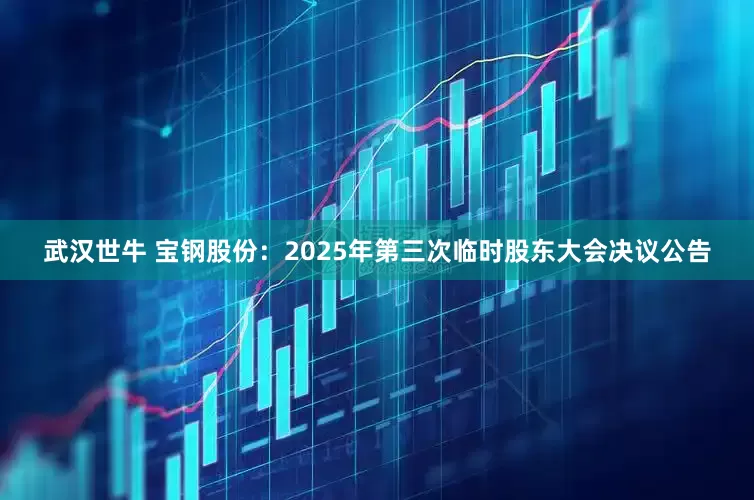 武汉世牛 宝钢股份：2025年第三次临时股东大会决议公告